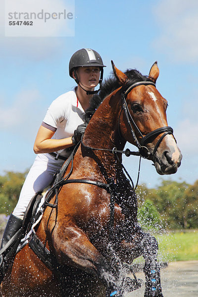 Horse Rider Kreuzung Wasser  Pferdesport-Ereignis