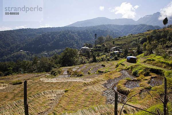 Landschaft im Phobjika-Tal  Bhutan