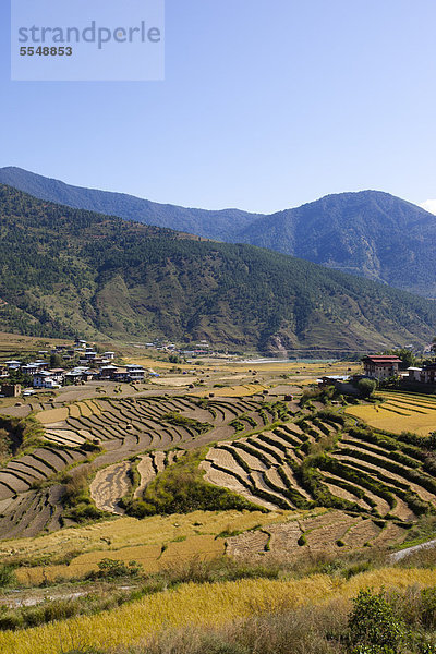 Landschaft im Phobjika-Tal  Bhutan