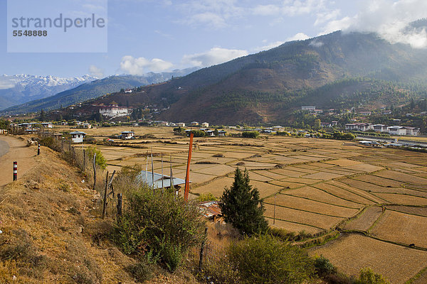 Reisfelder im Paro-Tal  Bhutan