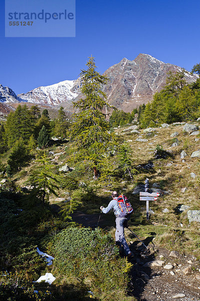 Wanderer beim Aufstieg zur Hinteren Eggenspitz im Ultental oberhalb des Weißbrunnsees  Südtirol  Italien  Europa