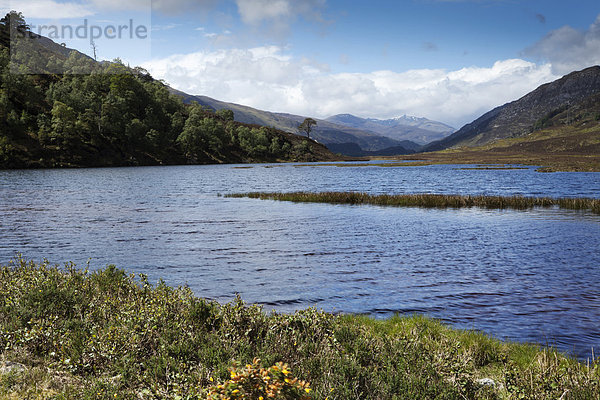 Blick nach Westen von der Mündung am Loch Beannacharan  in Richtung Oberlauf des Glen Strathfarrar im Schottischen Hochland  Schottland  Großbritannien  Europa