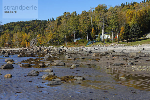 Strand  Manicouagan Region  Bucht von Saint Nicolas  Quebec  Kanada