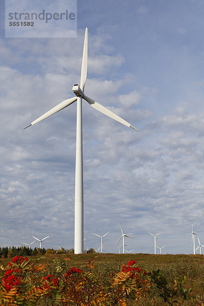 Windturbine Windrad Windräder Gaspésie Kanada Quebec