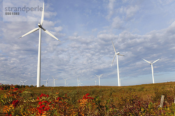 Windturbine Windrad Windräder Gaspésie Windpark Kanada Quebec