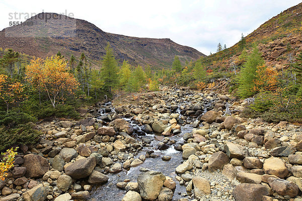 Landschaft am Mont Albert  Gaspesie Nationalpark  Quebec  Kanada