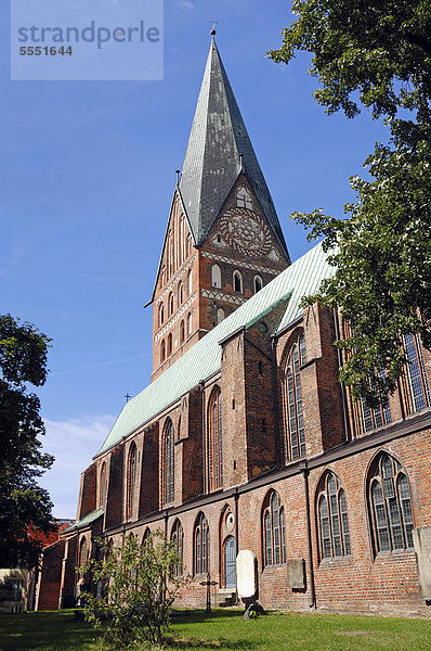 Kirche St. Johannis  Lüneburg  Niedersachsen  Deutschland  Europa