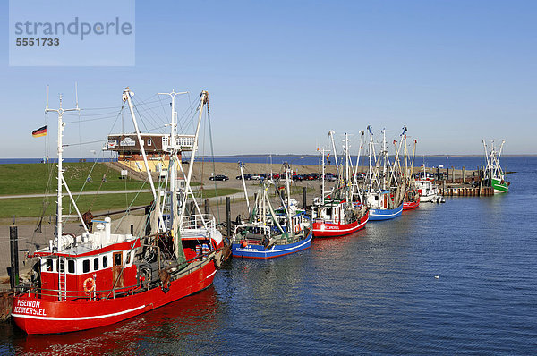 Krabbenkutter im Hafen  Accumersiel  Ostfriesland  Niedersachsen  Deutschland  Europa