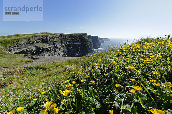 Cliffs of Moher  County Clare  Irland  Europa