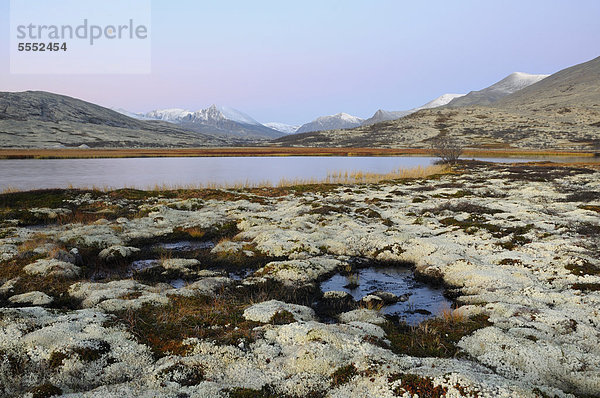 Landschaft nahe der Hütte Doralseter  Rondane Nationalpark  Norwegen  Europa