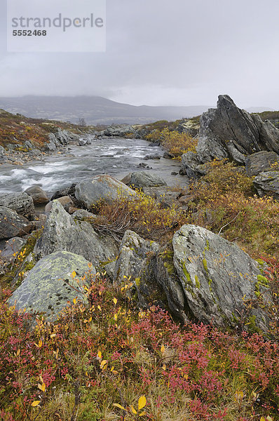 Fluss Stropla im Dovrefjell-Sunndalsfjella-Nationalpark  Norwegen  Europa