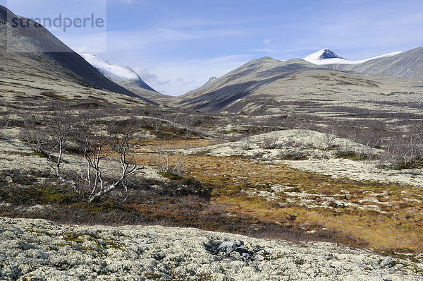 Fjelllandschaft vor schneebedeckten Bergen im Rondane Nationalpark  Norwegen  Europa