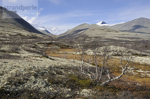 Fjelllandschaft vor schneebedeckten Bergen im Rondane Nationalpark  Norwegen  Europa