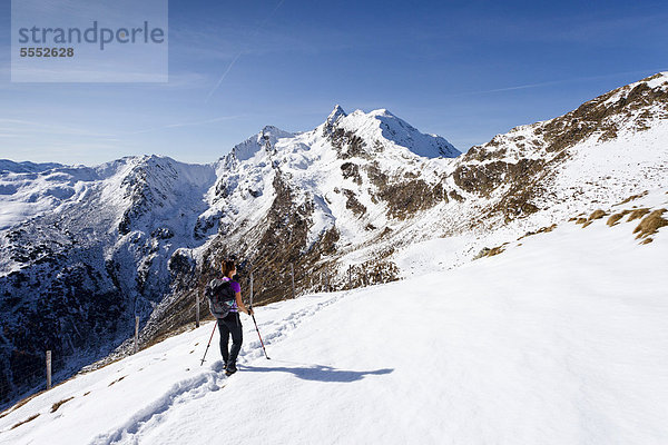 Wanderer beim Aufstieg zum Penser Weißhorn oberhalb vom Penser Joch  hinten der Gipfel des Penser Weißhorns  Sarntal  Südtirol  Italien  Europa