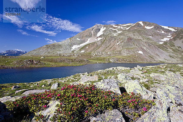 Blick auf den Kofelraster See beim Aufstieg zum Hohen Dieb  Ultental  und hinten der Hohe Dieb  Südtirol  Italien  Europa