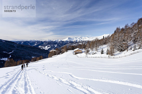 Skitourengeher beim Aufstieg zum Sattele oberhalb von Reinswald  hinten das Sarntal  Südtirol  Italien  Europa