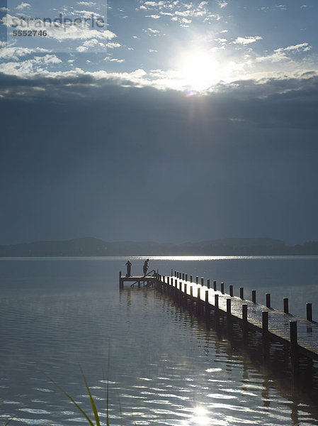 Steg in den Wörthsee  Bayern  Deutschland  Europa