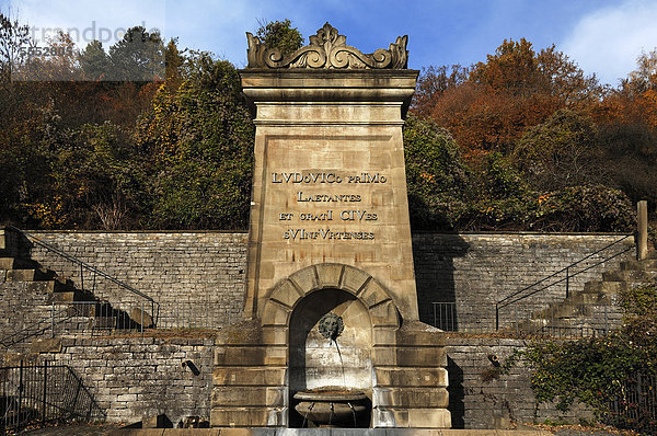 Dankessäule an Ludwig den I.  1786 - 1868  von den Bürgern  an der B 26 Mainberger Straße  Schweinfurt  Unterfranken  Bayern  Deutschland  Europa