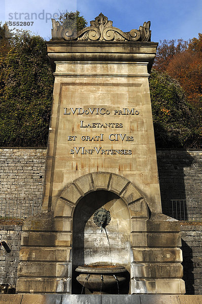 Dankessäule an Ludwig den I.  1786 - 1868  von den Bürgern  an der B 26 Mainberger Straße  Schweinfurt  Unterfranken  Bayern  Deutschland  Europa