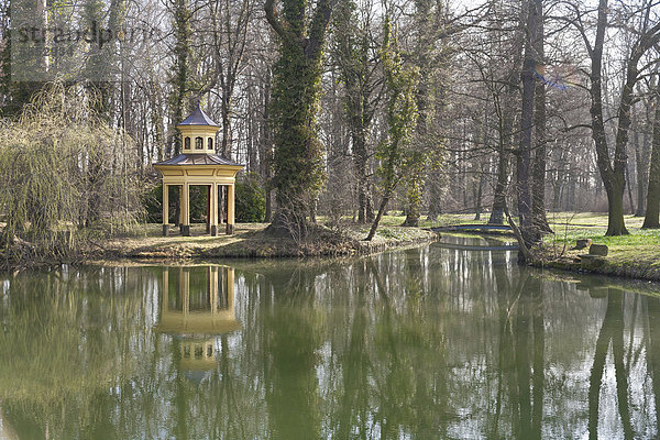 Chinesischer Pavillon spiegelt sich im Schlossteich  Märzenbecherblüte im Schlosspark Jahnishausen bei Riesa  Frühling  Fluss Jahna  Sachsen  Deutschland  Europa