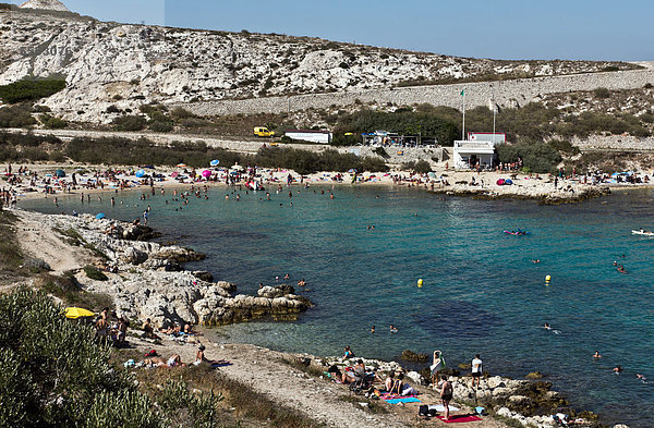 Strand  Calanques de Saint Esteve  Ile Ratonneu  Frioul-Archipel  Marseille  Provence-Alpes-Cote d'Azur  Frankreich  Europa