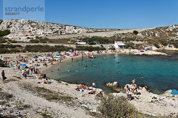 Strand  Calanques de Saint Esteve  Ile Ratonneu  Frioul-Archipel  Marseille  Provence-Alpes-Cote d'Azur  Frankreich  Europa