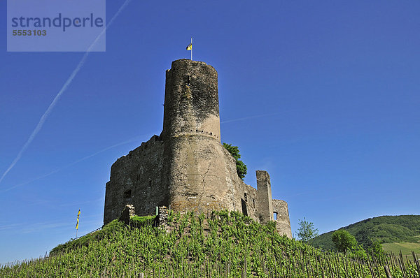 Burg Landshut in Bernkastel-Kues  Rheinland-Pfalz  Deutschland  Europa  ÖffentlicherGrund