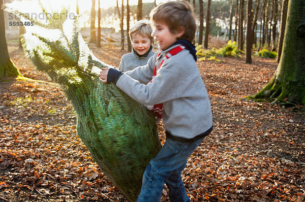 Zwei Jungen mit einem Weihnachtsbaum im Wald