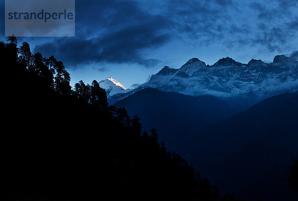 Thsokha  Himalaya Kanchenjunga Region  Sikkim  Indien