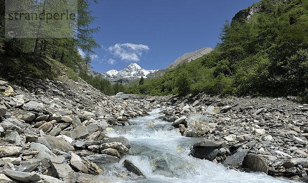 Gebirgsbach am Großglockner  Hohe Tauern  Alpen  Österreich  Europa