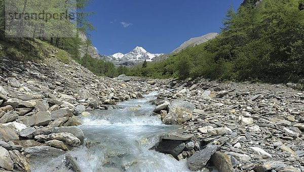 Gebirgsbach am Großglockner  Hohe Tauern  Alpen  Österreich  Europa