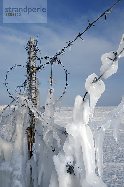 Vereister Stacheldraht  zugefrorenes Schwarzes Meer  ein seltenes Phänomen  Odessa  Ukraine  Osteuropa
