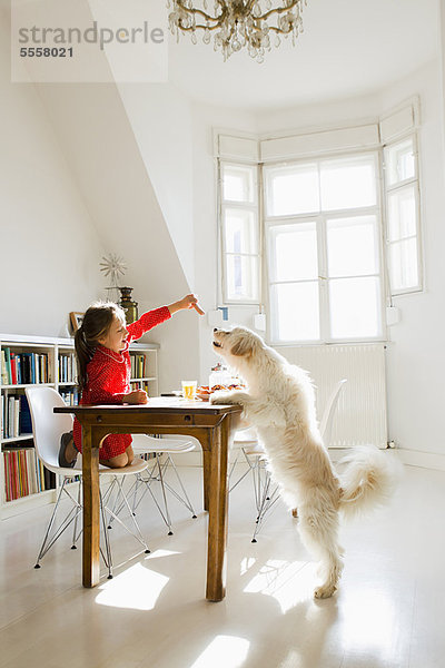 Mädchen füttern Hund am Tisch
