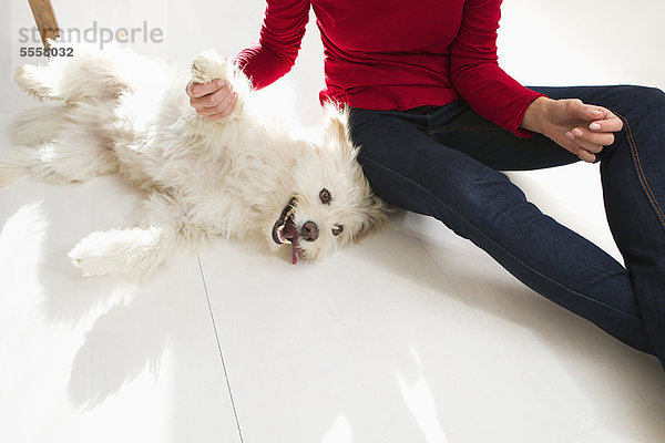 Frau  Boden  Fußboden  Fußböden  Hund  spielen