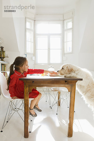 Hund  Mädchen  Tisch  füttern