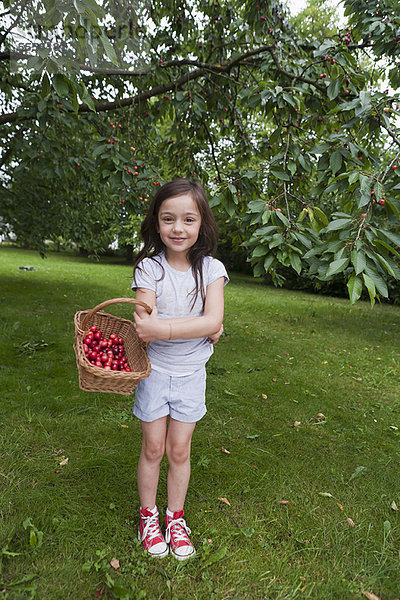 Mädchen sammelt Früchte im Korb