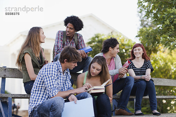 Studenten  die gemeinsam auf dem Campus studieren