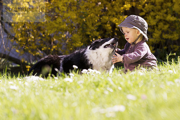 Hund  Gras  Mädchen  Baby  spielen