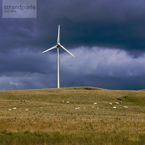 Windturbine Windrad Windräder Frankreich Europa Himmel Sturm Auvergne