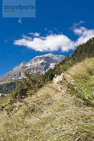 Aussicht von Varda auf Piz BoÈ  3152 m  Sella-Gruppe  Sellaronda  Dolomiten  Italien  Europa