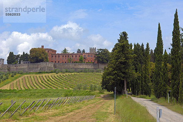 Ricasoli Weingut  Chianti-Region  Castello di Brolio  Schloss Brolio  Provinz Siena  Toskana  Italien  Europa