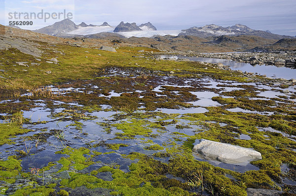 Hochgebirgslandschaft im Jotunheimen Nationalpark  Norwegen  Europa