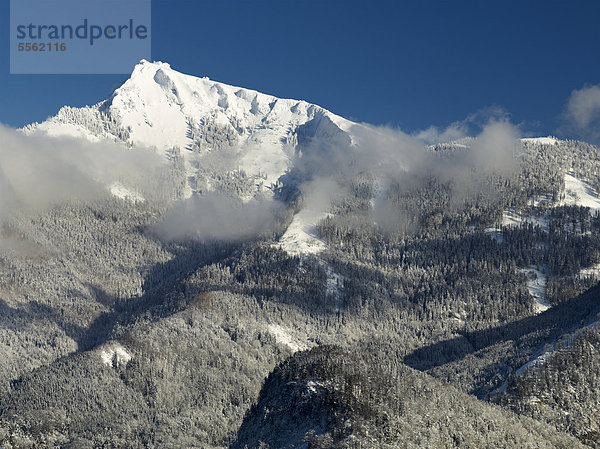 Schafberg am Wolfgangsee  Salzkammergut  Österreich  Europa