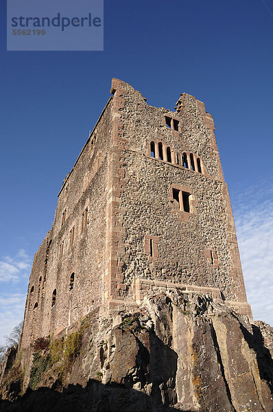 Burgruine Hohengeroldseck  von unten  um 1250 gebaut  Schlossberg 7  Seelbach Schutter  Schönberg  Baden-Württemberg  Deutschland  Europa