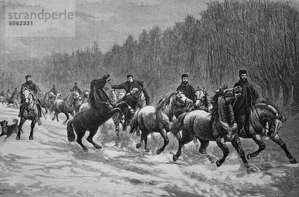 Winterpromenade nordamerikanischer Artilleriepferde  historischer Holzschnitt  circa 1870