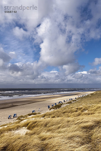 Strand mit Strandkörben und Dünen auf Sylt  Deutschland