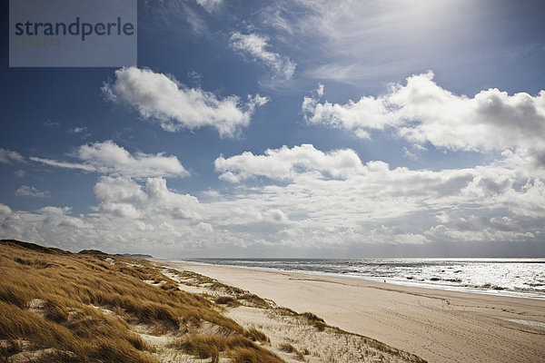 Strand und Dünen auf Sylt  Deutschland