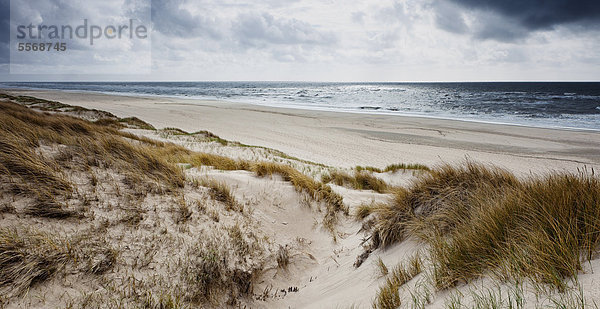 Strand und Dünen auf Sylt  Deutschland