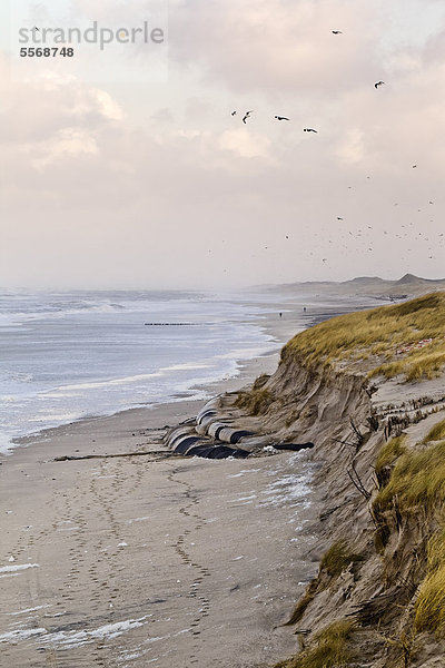 Steilküste am Roten Kliff auf Sylt  Deutschland