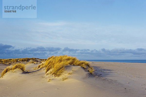 Strand und Dünen im Winter auf Sylt  Deutschland